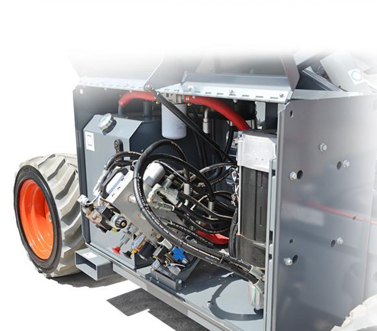 ヤシ hq720.jpg?sqp=-